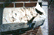 loosestone.gif